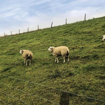 Hoeve Alegria Hoogwoud エクステリア 写真