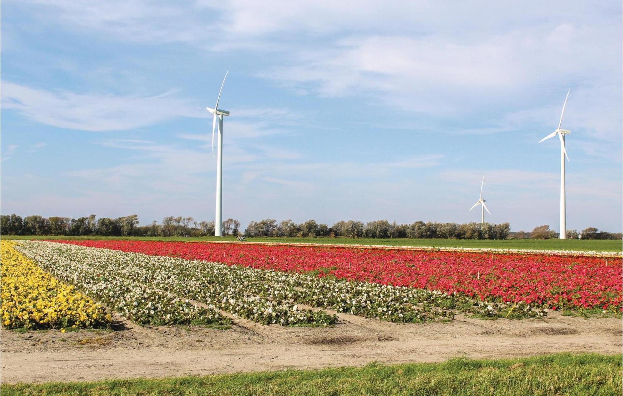 Hoeve Alegria Hoogwoud エクステリア 写真