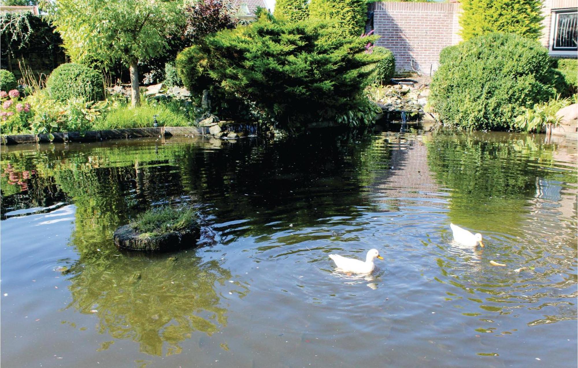 Hoeve Alegria Hoogwoud エクステリア 写真