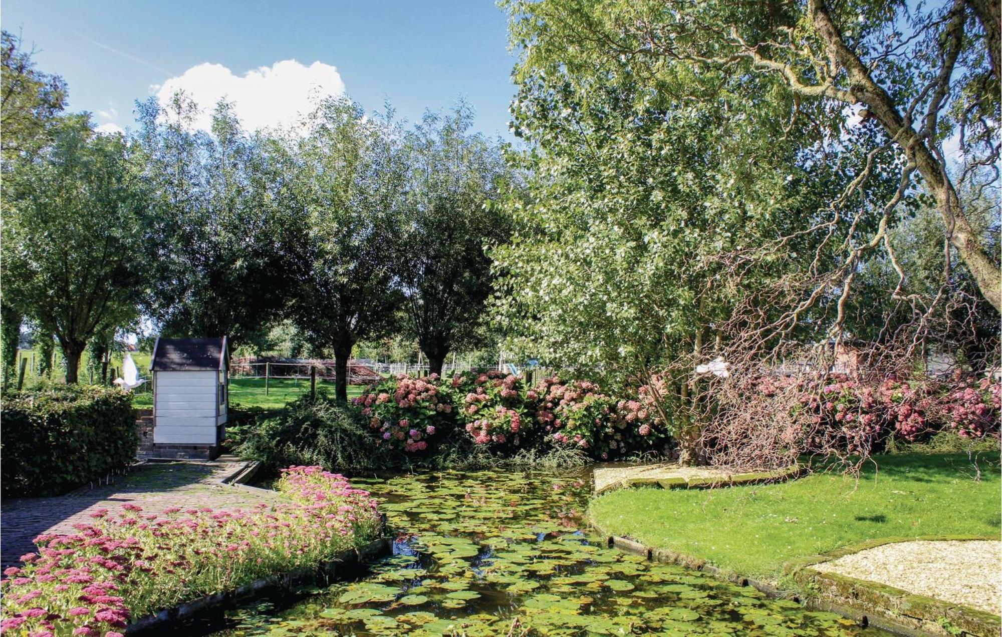 Hoeve Alegria Hoogwoud エクステリア 写真